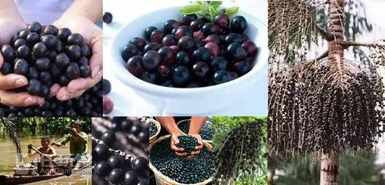 里约奥运会为何要发45万个避孕套?!