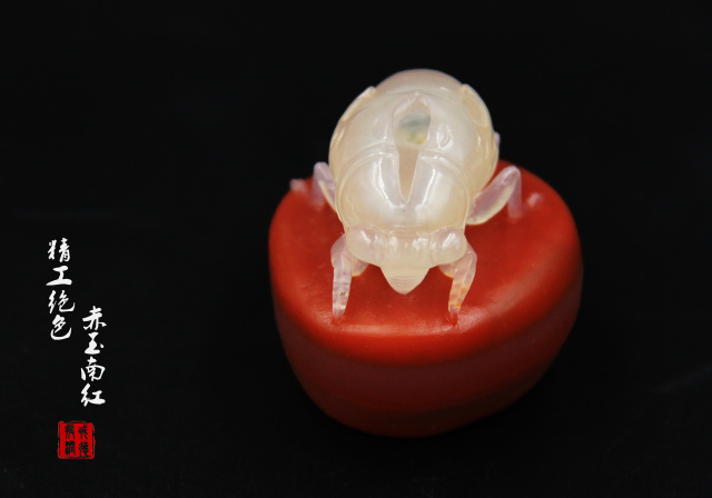 蝉设计灵感 (镂空调色蝉)