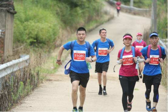 行走的力量2019年,行走的力量2016