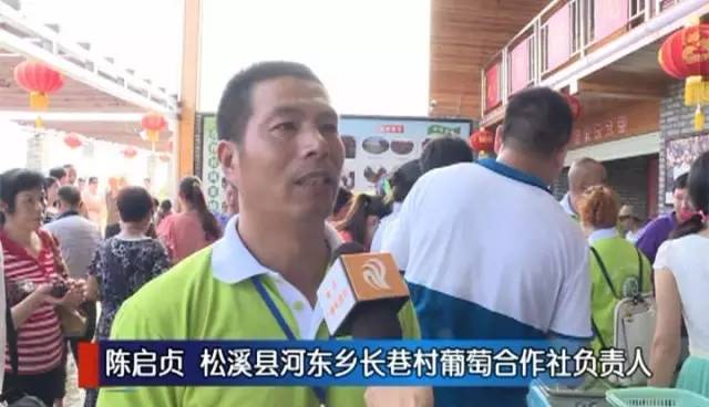 闽北葡萄又一村,教您如何挑选葡萄王