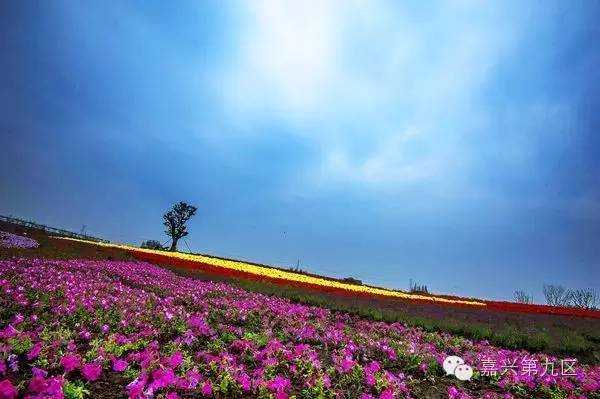 宁波出发高铁4-5小时能到哪里,宁波出发坐高铁三日游推荐