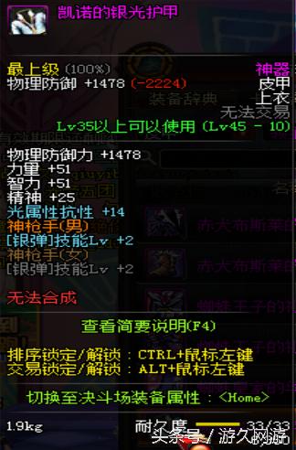 dnf逆天的领主粉 (盘点dnf领主粉步枪)