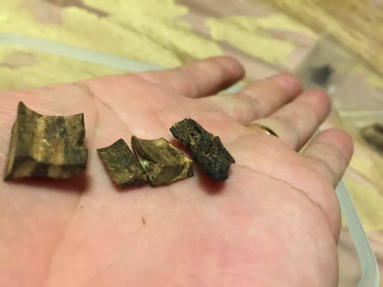 莺歌绿奇楠什么价,人工种植的莺歌绿奇楠多少钱