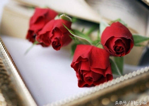 深度解析女人心里她需要什么,怎么才懂女人了解女人