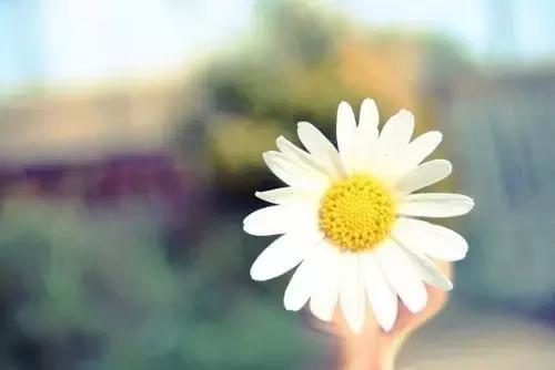 心情不好的时候，让人振作起来的8句话