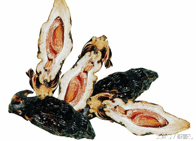 食用槟榔致癌,食用槟榔的副作用