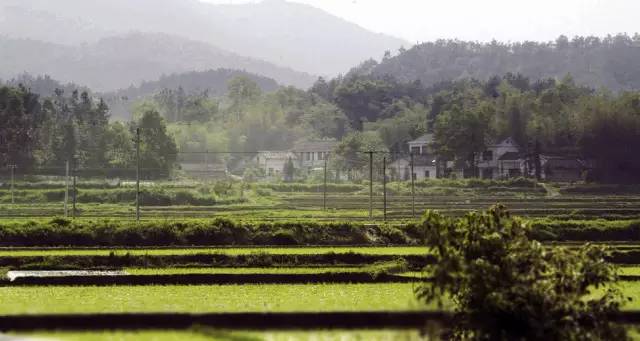 最新长沙旅游推荐,去长沙旅游必去的景点有哪些