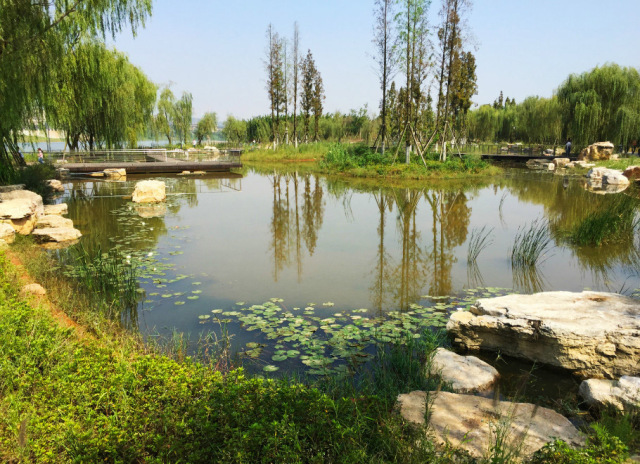最新长沙旅游推荐,去长沙旅游必去的景点有哪些