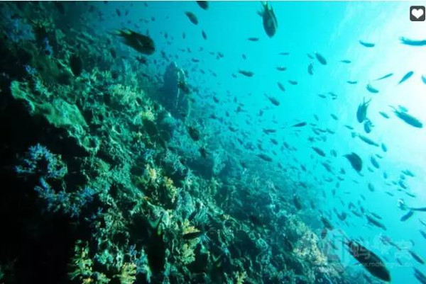 你所不知道的绿岛湖,你不知道的泰国视频