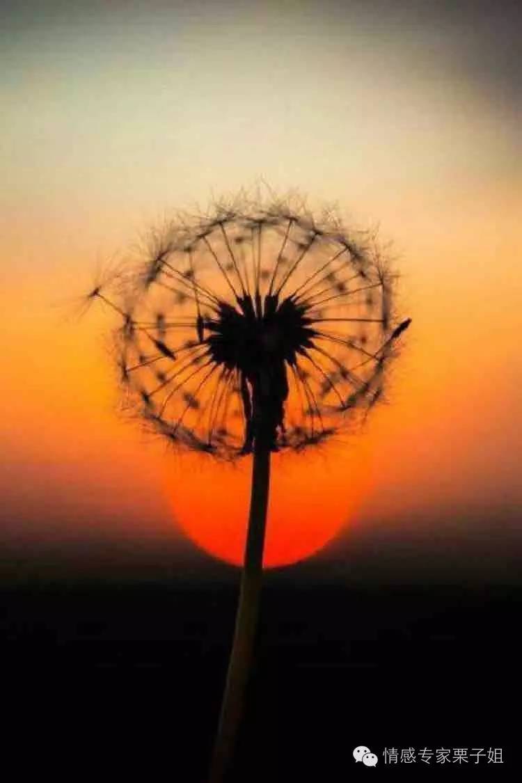 老公给女网友打小红包，充话费，女网友就发*处私**照片给他，怎么办