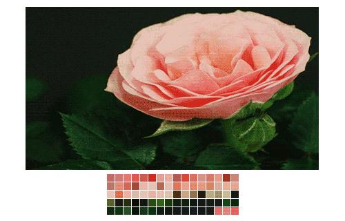 冷静表情包gif图片,搞怪图片gif