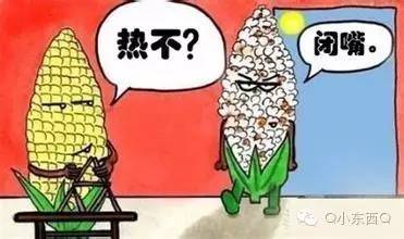 我这条命是空调给的表情图,我这条命是空调给的搞笑图