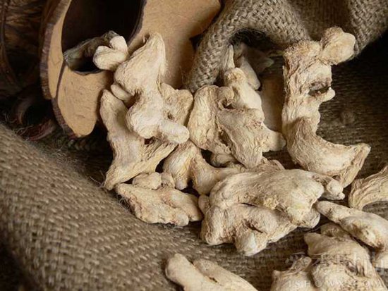 吃西洋参上火吗上火是什么症状,上火的症状有哪些表现