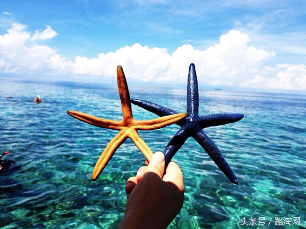 沙巴的美景感悟,四个理由让你爱上吃鱼