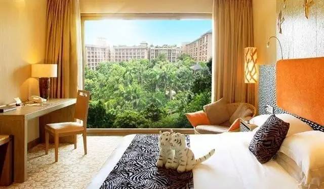 长隆野生动物园攻略亲子游三天,从广州长隆到珠海长隆亲子游攻略