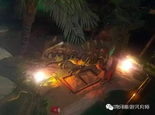 金象山青少年夏令营,济南金象山乐园夏令营