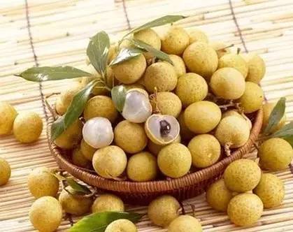 补脑第一名中药材,补脑第一保健品