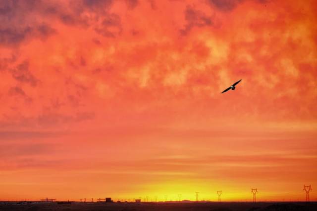 宝宝，你值得拥有所有最好的。