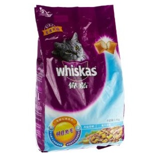 猫粮知识视频讲解,猫粮的基础知识