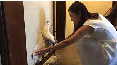 壁纸是如何分辨真假,如何选择壁纸七个小妙招教会你