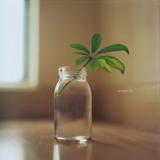 茶叶最吸引人的广告语是什么,强烈推荐茶叶广告语