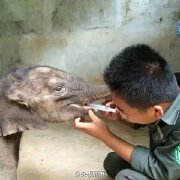 羊妞的日常生活,羊妞的生活记录