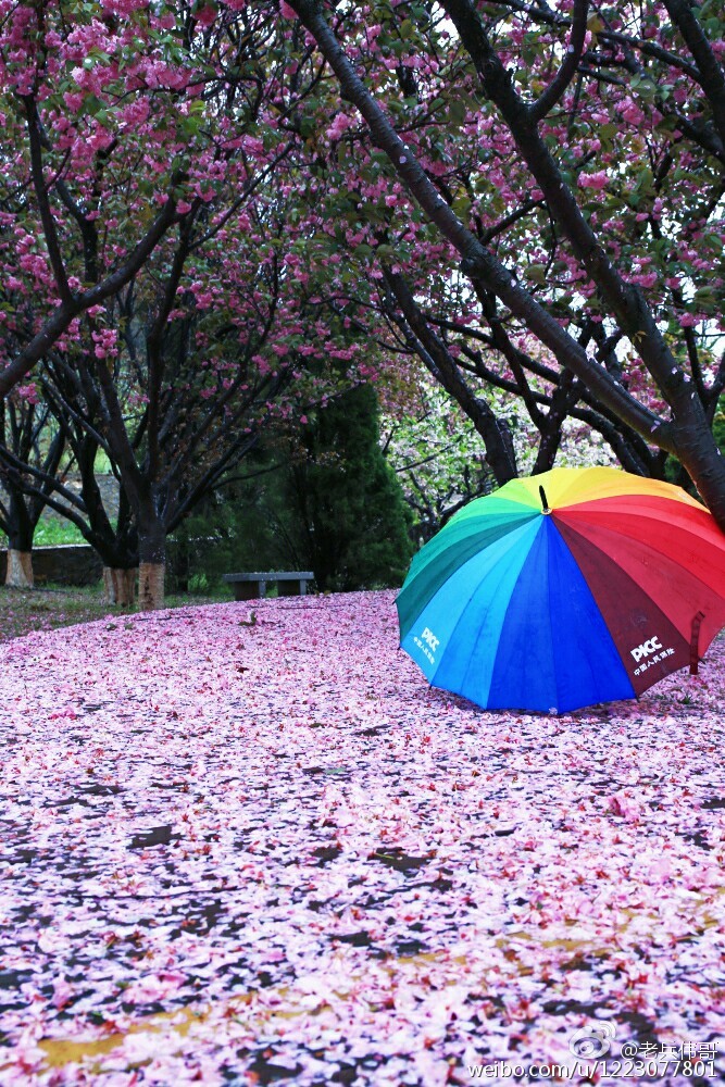 大连旅顺口好吗,旅顺值得住一晚吗