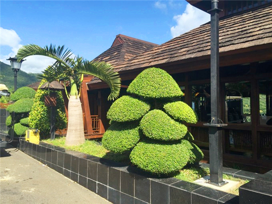 三亚旅行结婚纪念日,小两口结婚纪念日在家过二人世界