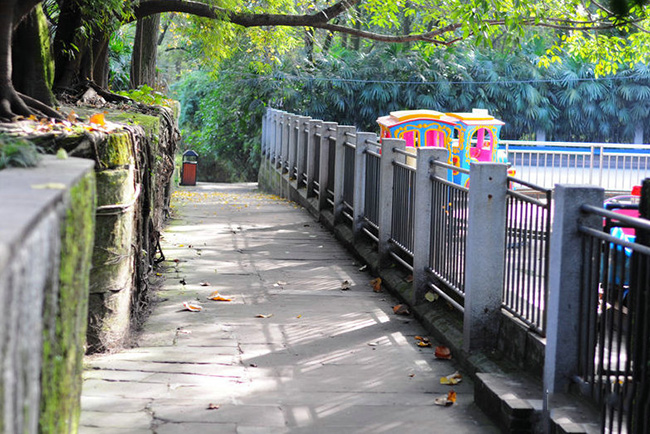 重庆鹅岭公园的介绍,重庆鹅岭公园有什么好玩的