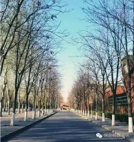 保定夏季“9所”最美大学校园