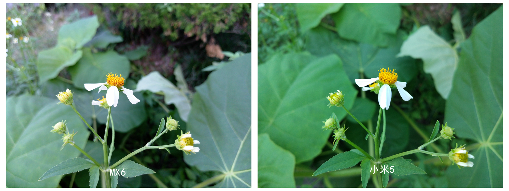 定位尴尬之余还剩下些什么？魅族MX6体验测评