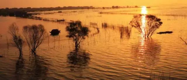 你只听过汉南,却不知道它的传奇!今年的汉南将高不可攀!
