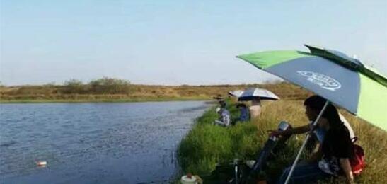 女钓手钓9百多斤大鲤鱼,90后妹子钓小龙虾