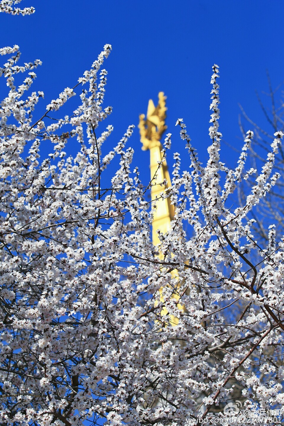 旅顺口哪个地方适合居住,住下来才知道旅顺口有多好