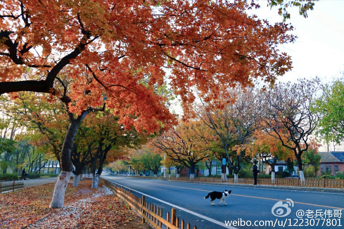旅顺口哪个地方适合居住,住下来才知道旅顺口有多好