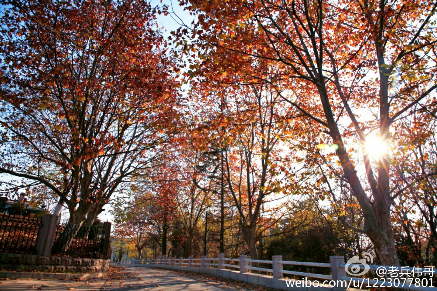 旅顺口哪个地方适合居住,住下来才知道旅顺口有多好