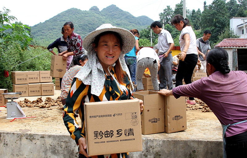 安顺市小黄姜批发价,贵州省镇宁县的小黄姜批发价