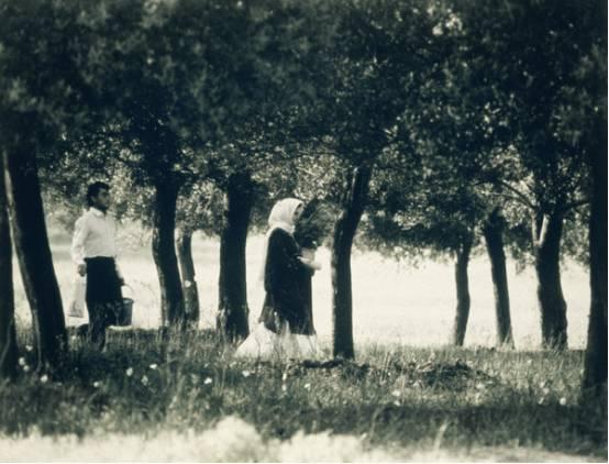 阿巴斯基亚罗斯塔米随风而逝,阿巴斯基亚罗斯塔米背景图片