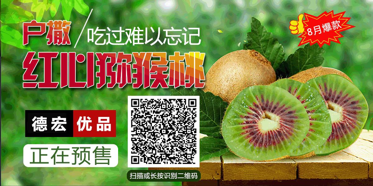 青运会2019,青运会运动会