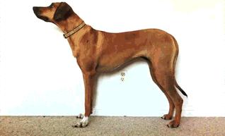 四维世界超立方体,四维世界亲身感觉