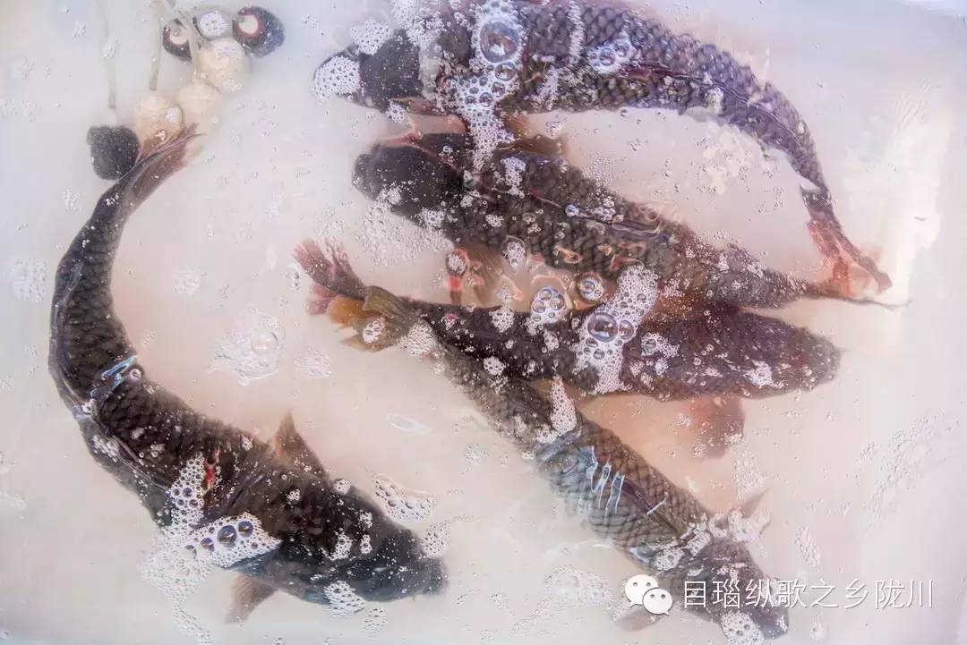 好吃的川湘菜就在这里,陇川湘菜