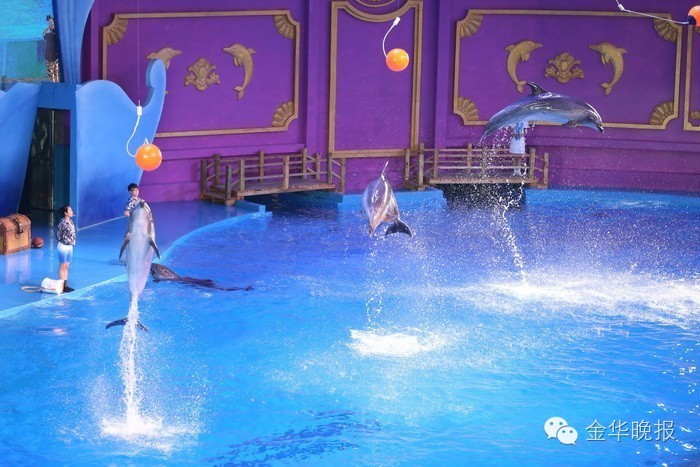 金华人的傲娇：快来测测你的身价值多少，小编邀你免费游横店