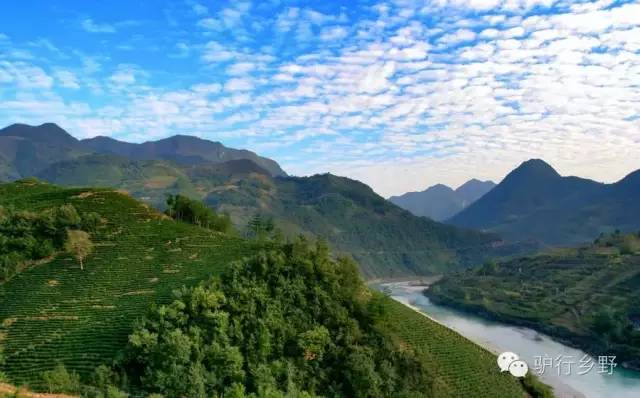 琛屾憚姹変腑,琛屾憚闄曡タ