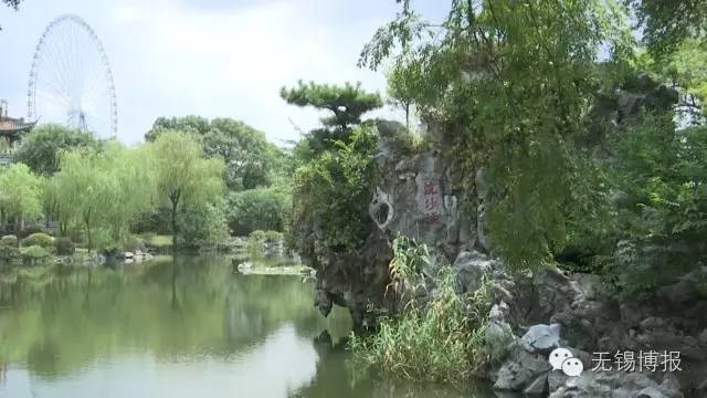 小话梅的盛夏游记蠡园：美好的地方总会发生美好的故事