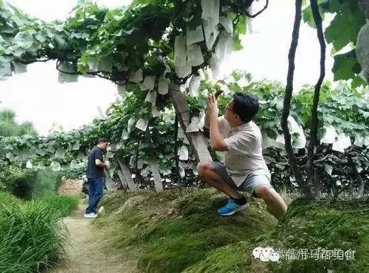 古田县城美食攻略,古田美食团购夜宵