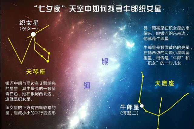 空少面试问题及回答技巧,空少讲解