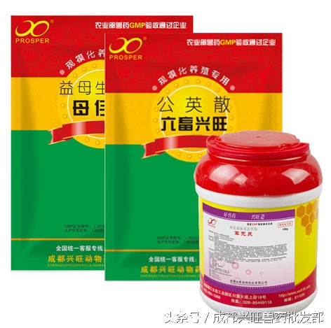 子宫内膜炎治疗方案,猪子宫内膜炎用什么药物