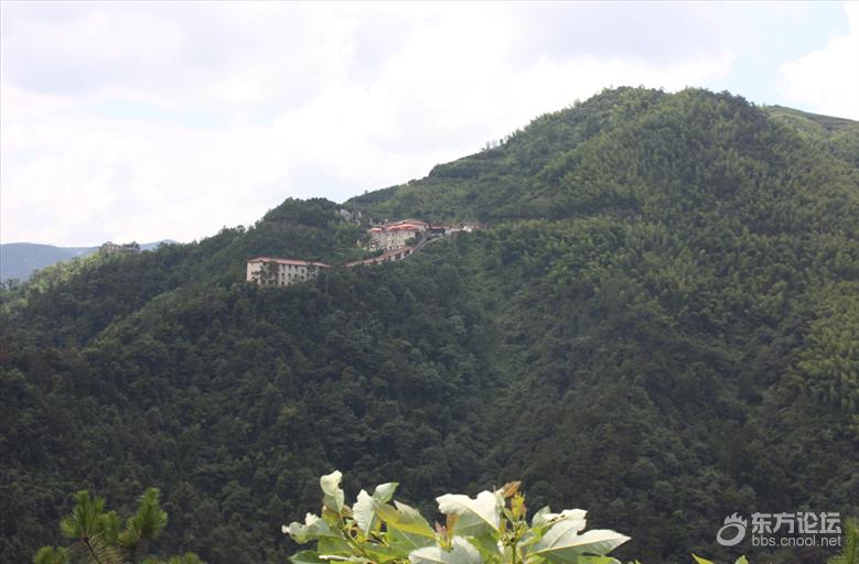 宁波最美风车公路,宁波最美公路