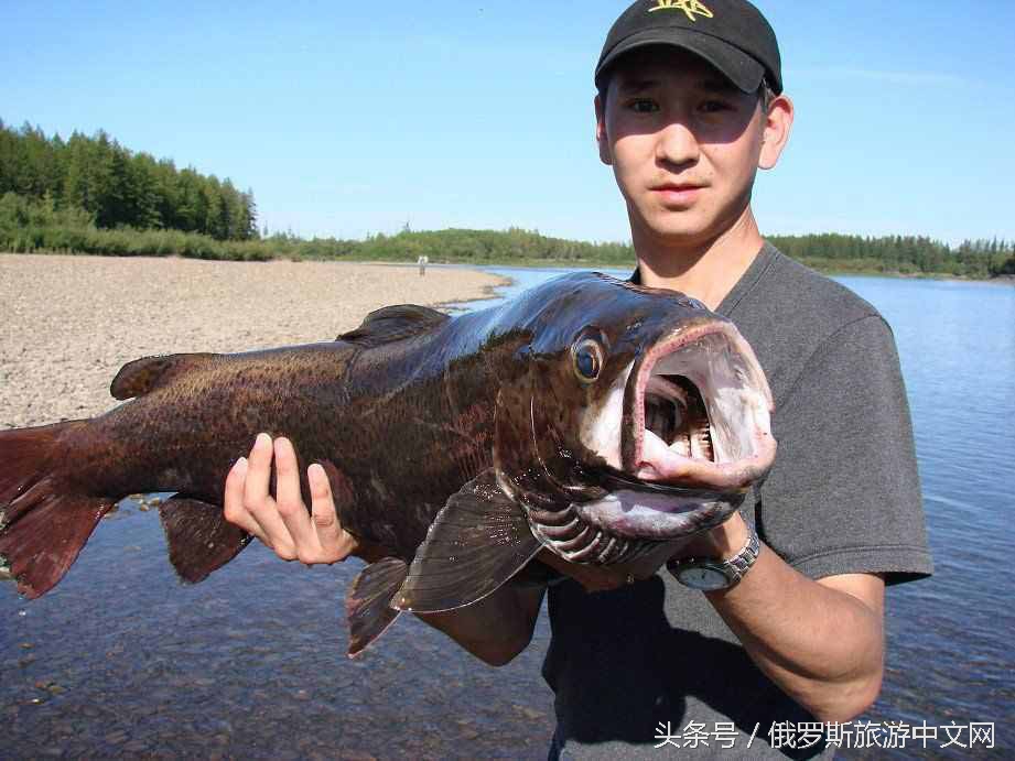 俄罗斯巨坑是真的吗,史上最贵的俄罗斯