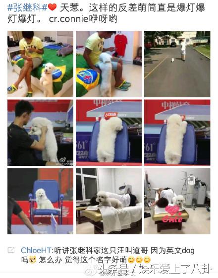 鹿晗和张继科的关系,张继科肖战鹿晗